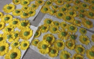 Calendula from My Kitchen Wand