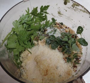 Purslane Pesto from My Kitchen Wand