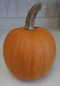 Getting Ready for Pumpkin Season from My Kitchen Wand
