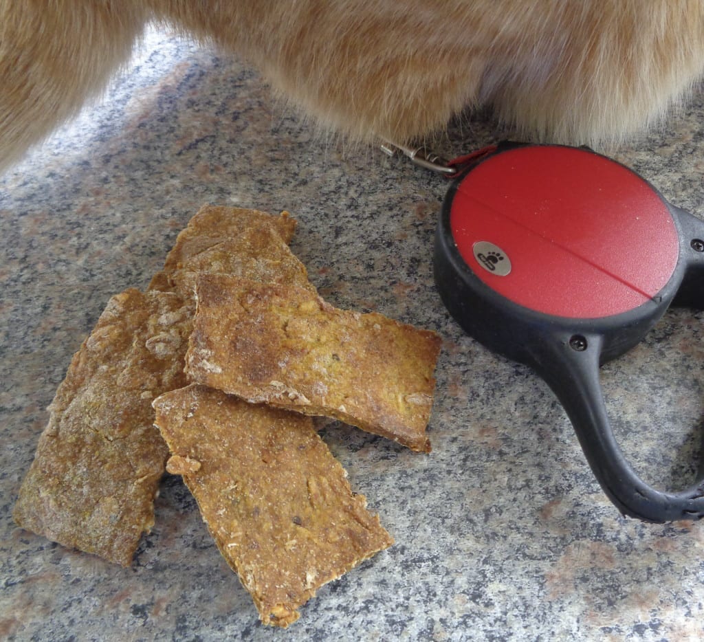 Curried Pumpkin Puppy Pieces from My Kitchen Wand