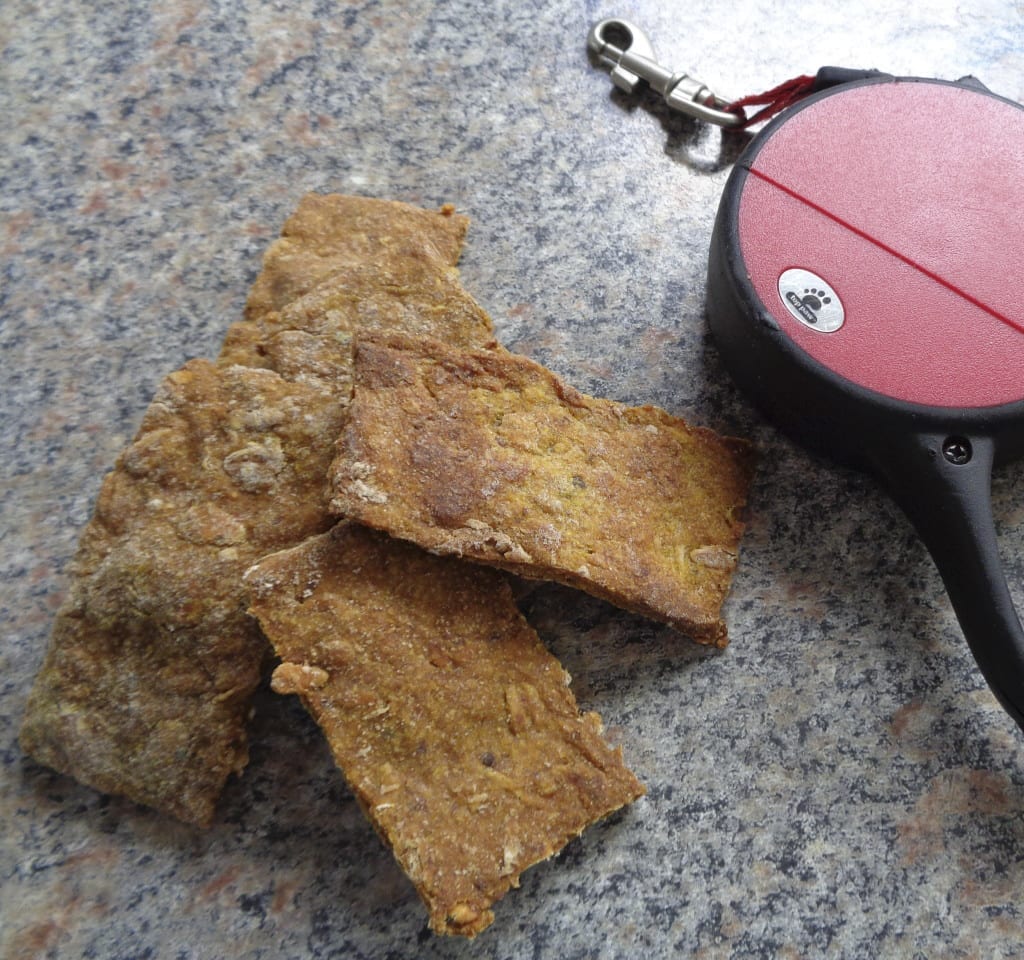 Curried Pumpkin Puppy Pieces from My Kitchen Wand