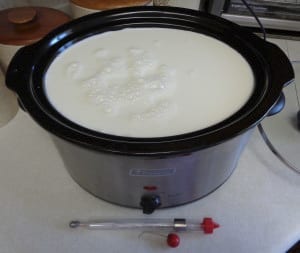 Homemade Greek Yoghurt from My Kitchen Wand