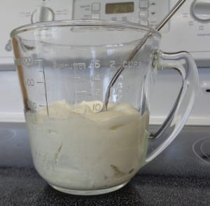 Homemade Greek Yoghurt from My Kitchen Wand