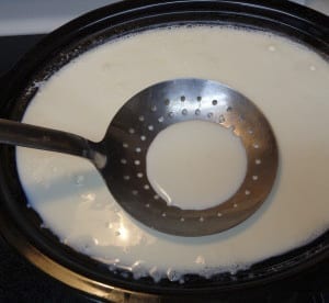 Homemade Greek Yoghurt from My Kitchen Wand