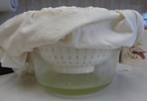 Homemade Greek Yoghurt from My Kitchen Wand