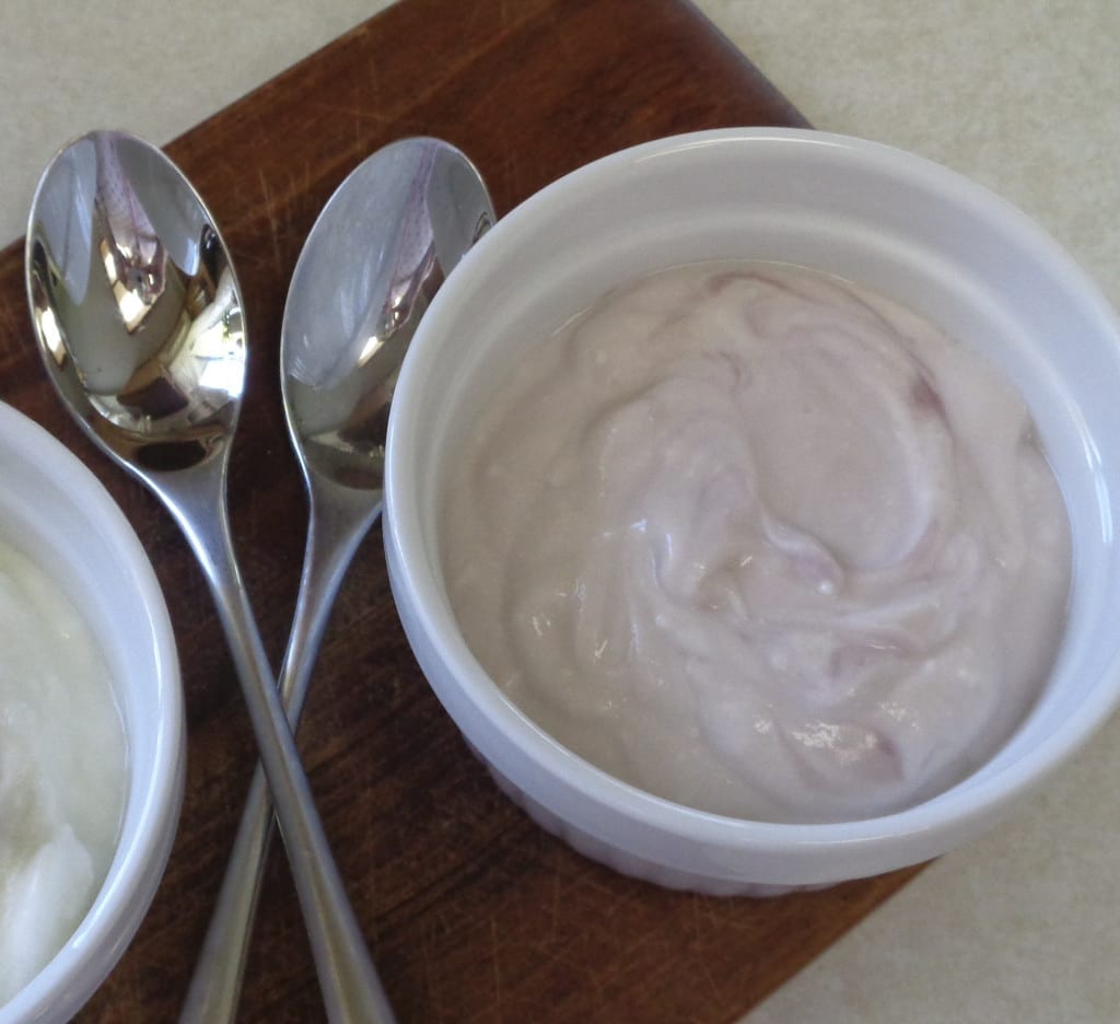 Homemade Greek Yoghurt from My Kitchen Wand