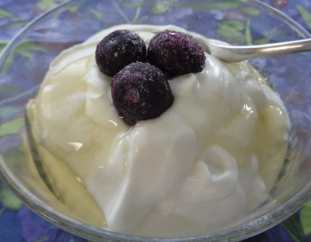 Greek Style Yoghurt from My Kitchen Wand