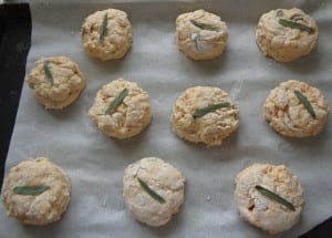 Sage & Pumpkin Biscuits from My Kitchen Wand