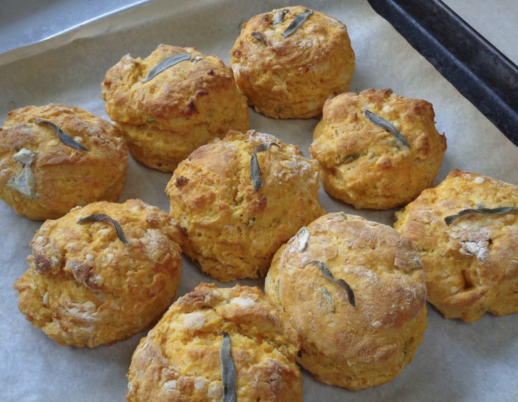 Sage & Pumpkin Biscuits from My Kitchen Wand