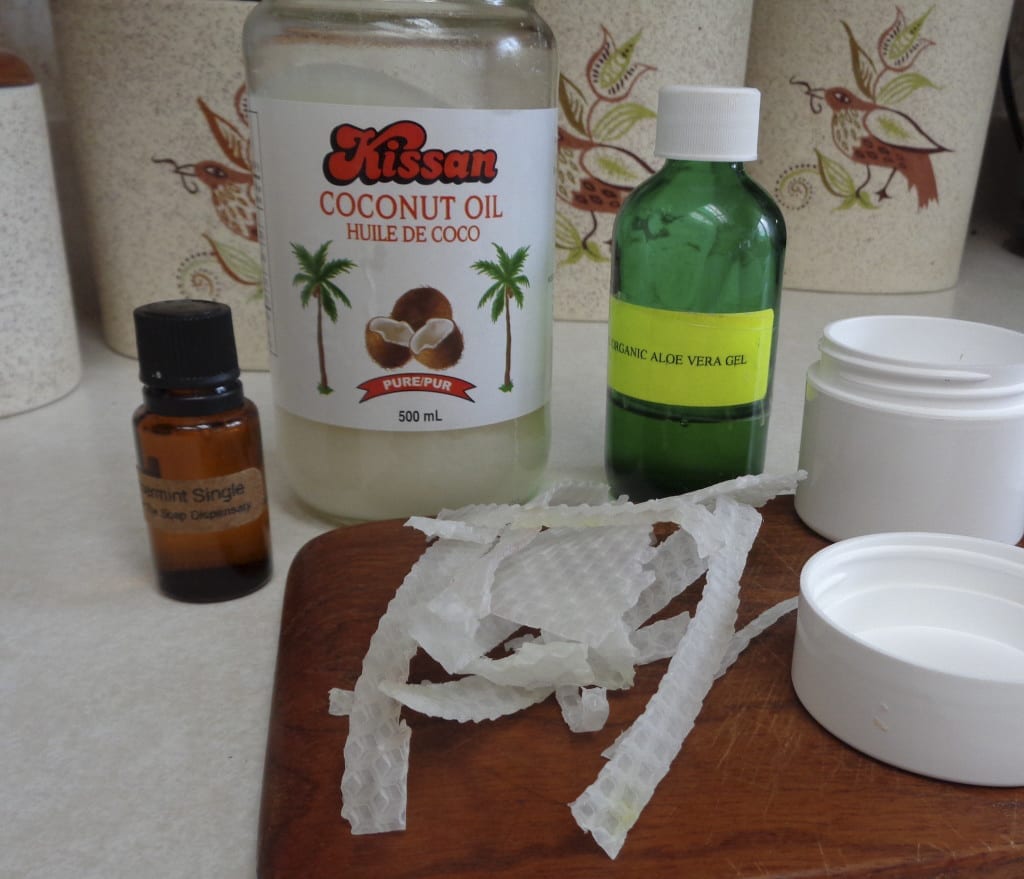 Aleo Coconut Lotion Tweaked for Winter Weather from My Kitchen Wand