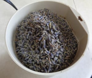 123 Cleanser otherwise known as Lavender Oat from My Kitchen Wand