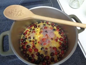 Cranberry Sauce with Orange from My Kitchen Wand