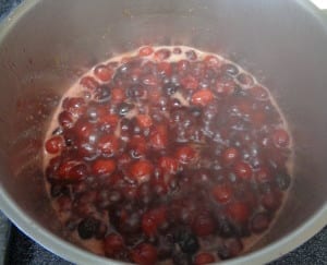 Cranberry Sauce with Orange from My Kitchen Wand