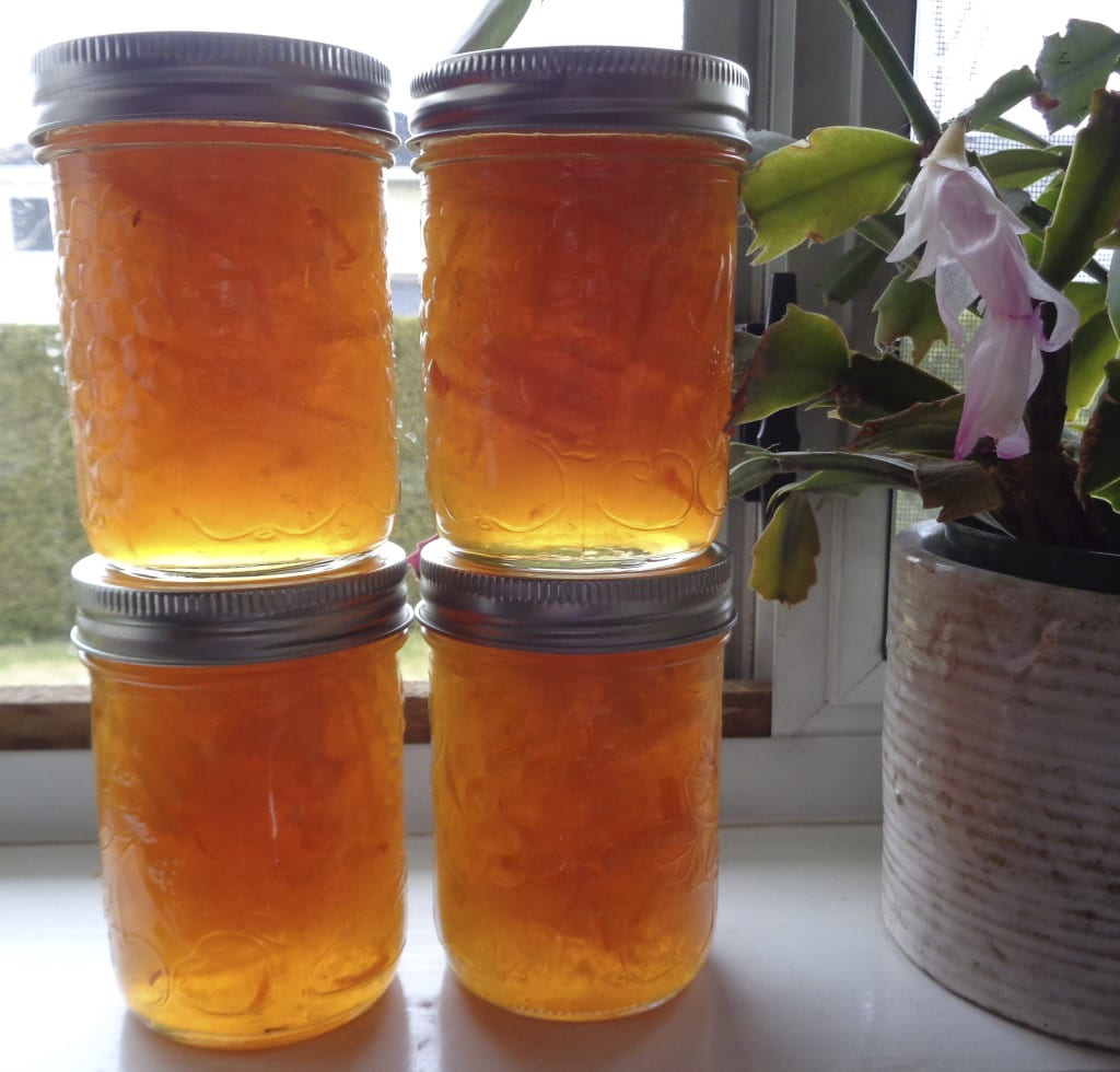 Meyer Lemon & Orange Ginger Marmalade from My Kitchen Wand