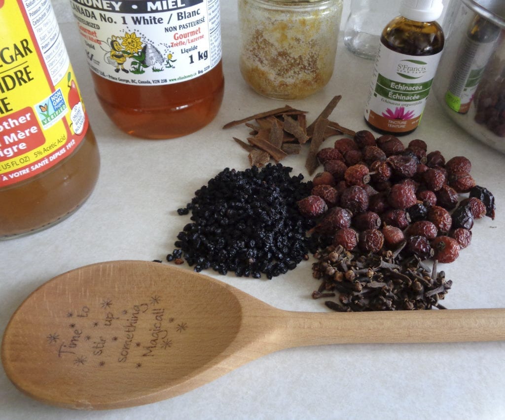 Elderberry Rosehip Syrup from My Kitchen Wand