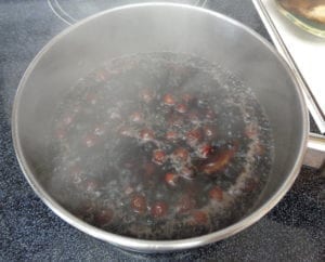 Elderberry Rosehip Syrup from My Kitchen Wand