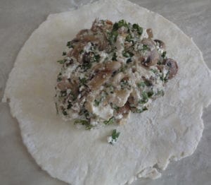 Mushroom Brie Galette from My Kitchen Wand