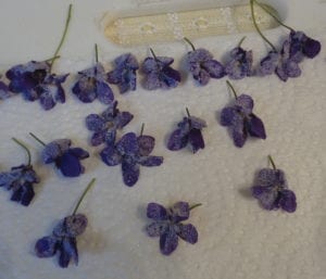 Sugared Violets from My Kitchen Wand