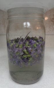Wild Violet Syrup & Jelly from My Kitchen Wand