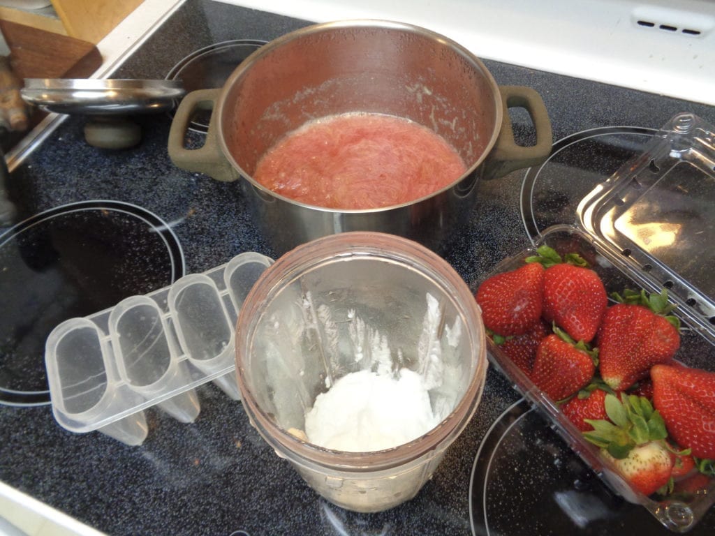 Strawberry Rhubarb Popsicles from My Kitchen Wand