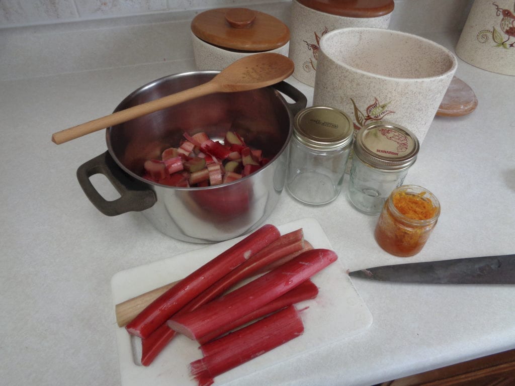 Quick & Easy Rhubarb Jam with Orange Zest from My Kitchen Wand