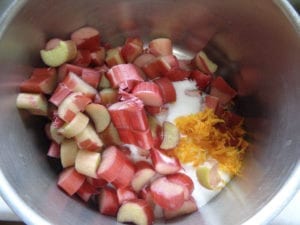 Quick & Easy Rhubarb Jam with Orange Zest from My Kitchen Wand