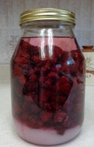Fresh Berry Cordials from My Kitchen Wand