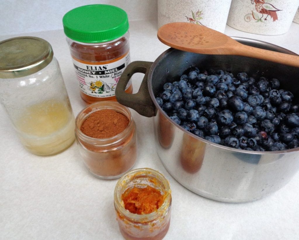 Blueberry Honey Compote from My Kitchen Wand