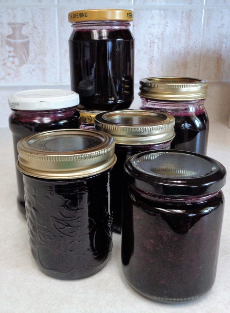 Blueberry Honey Compote from My Kitchen Wand