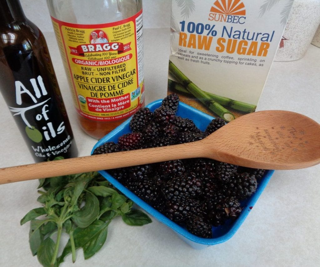 Blackberry Ginger Basil Shrub from My Kitchen Wand