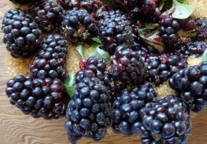 Blackberry Ginger Basil Shrub from My Kitchen Wand