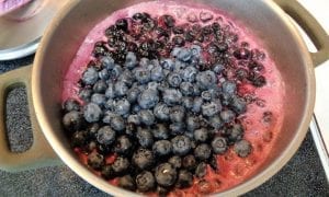 Blueberry Honey Compote from My Kitchen Wand