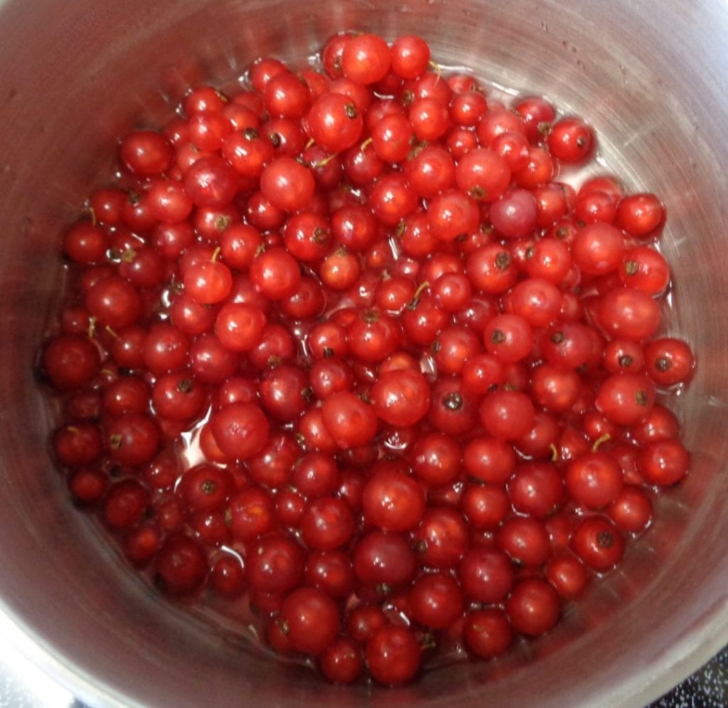 Red Currant and Rosemary Jelly from My Kitchen Wand