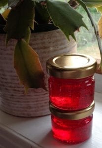 Red Currant and Rosemary Jelly from My Kitchen Wand