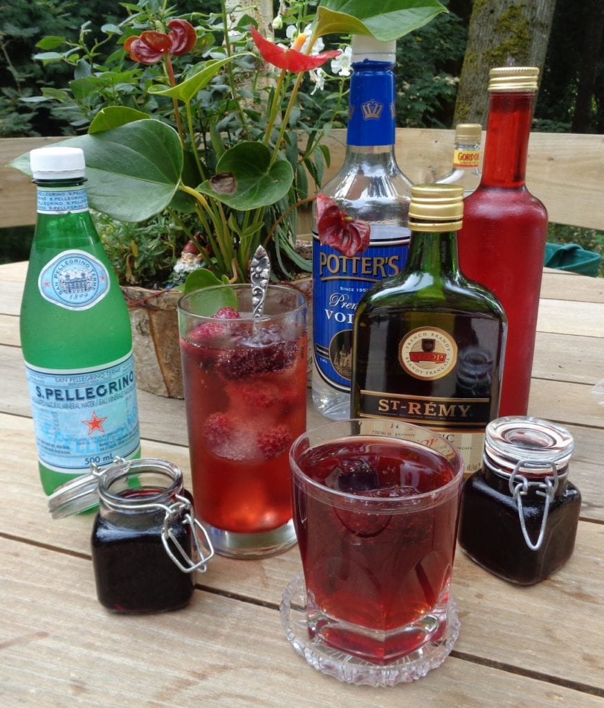 Blackberry Ginger Basil Shrub from My Kitchen Wand