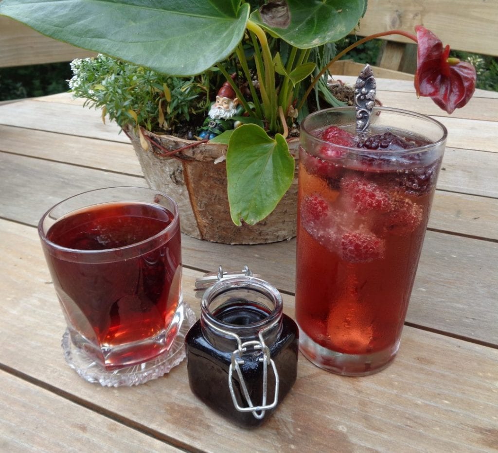 Blackberry Ginger Basil Shrub from My Kitchen Wand