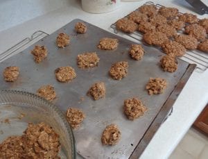 Einkorn & Oatmeal Cookies from My Kitchen Wand