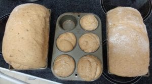 Pumpkin Pecan Bread from My Kitchen Wand