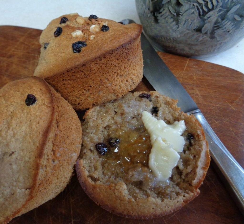 Blender Muffins from My Kitchen Wand