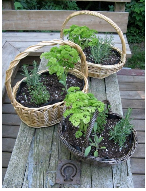 Herb Baskets from My Kitchen Wand