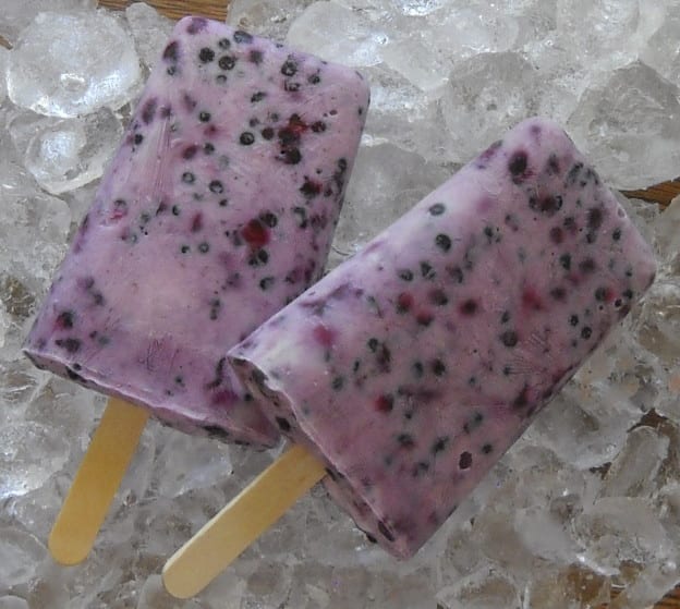 Very Berry Yogurt Popsicles from My Kitchen Wand