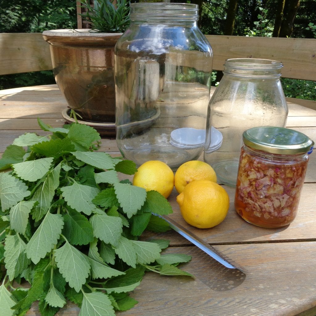 Lemon Balm Sun Tea from My Kitchen Wand