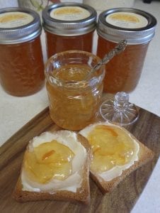 Meyer Lemon & Orange Ginger Marmalade