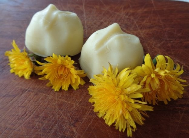 Dandelion Lotion Bars from My Kitchen Wand
