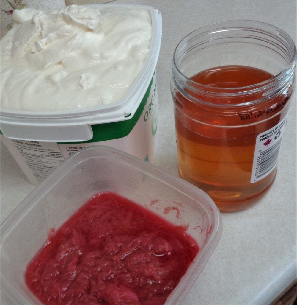 Rhubarb Crisp Frozen Yoghurt from My KItchen Wand