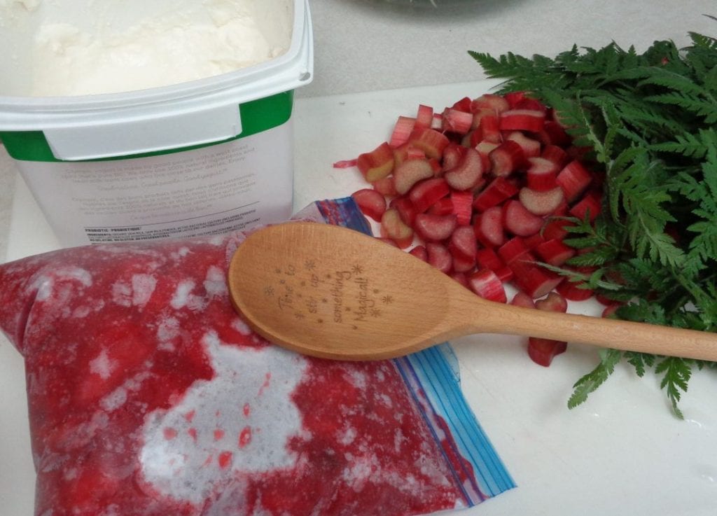 Strawberry/Rhubard Popsicles with Sweet Cicely from My Kitchen Wand