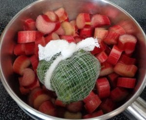 Strawberry/Rhubard Popsicles with Sweet Cicely from My Kitchen Wand