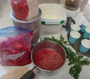 Strawberry/Rhubard Popsicles with Sweet Cicely from My Kitchen Wand