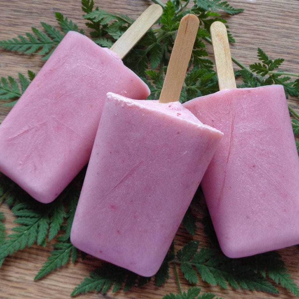 Strawberry/Rhubard Popsicles with Sweet Cicely from My Kitchen Wand