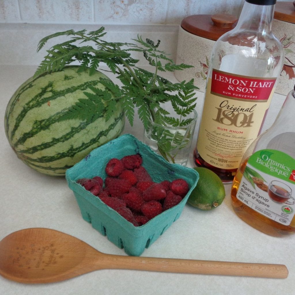 Watermelon Raspberry Cooler from My Kitchen Wand